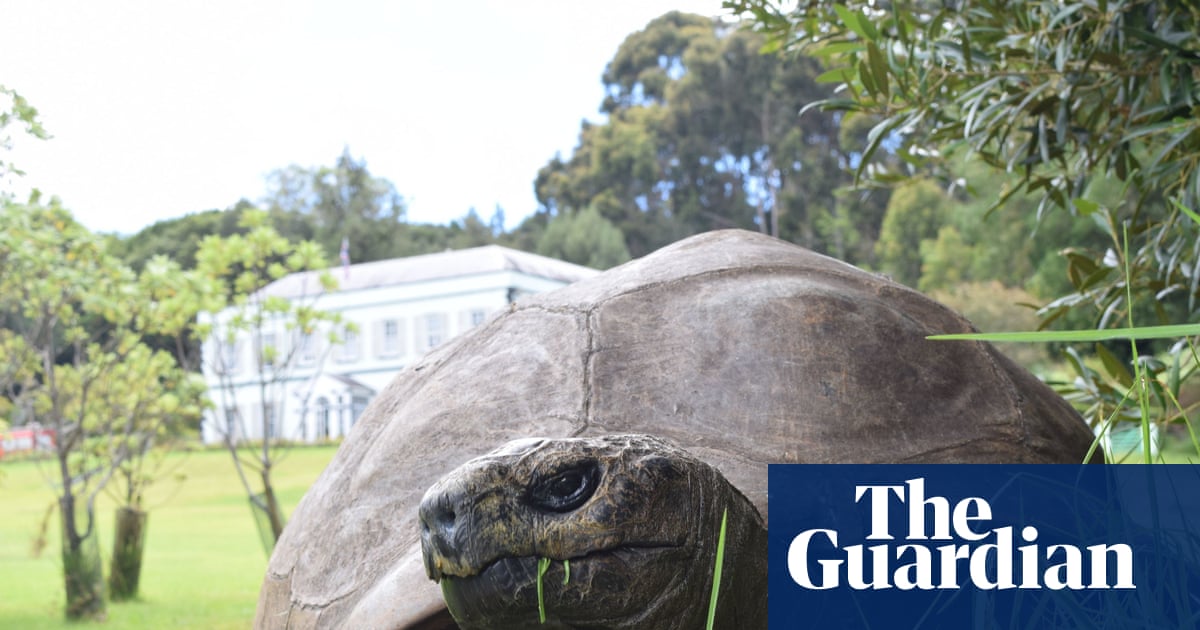 World’s oldest tortoise caught in viral crypto death scam