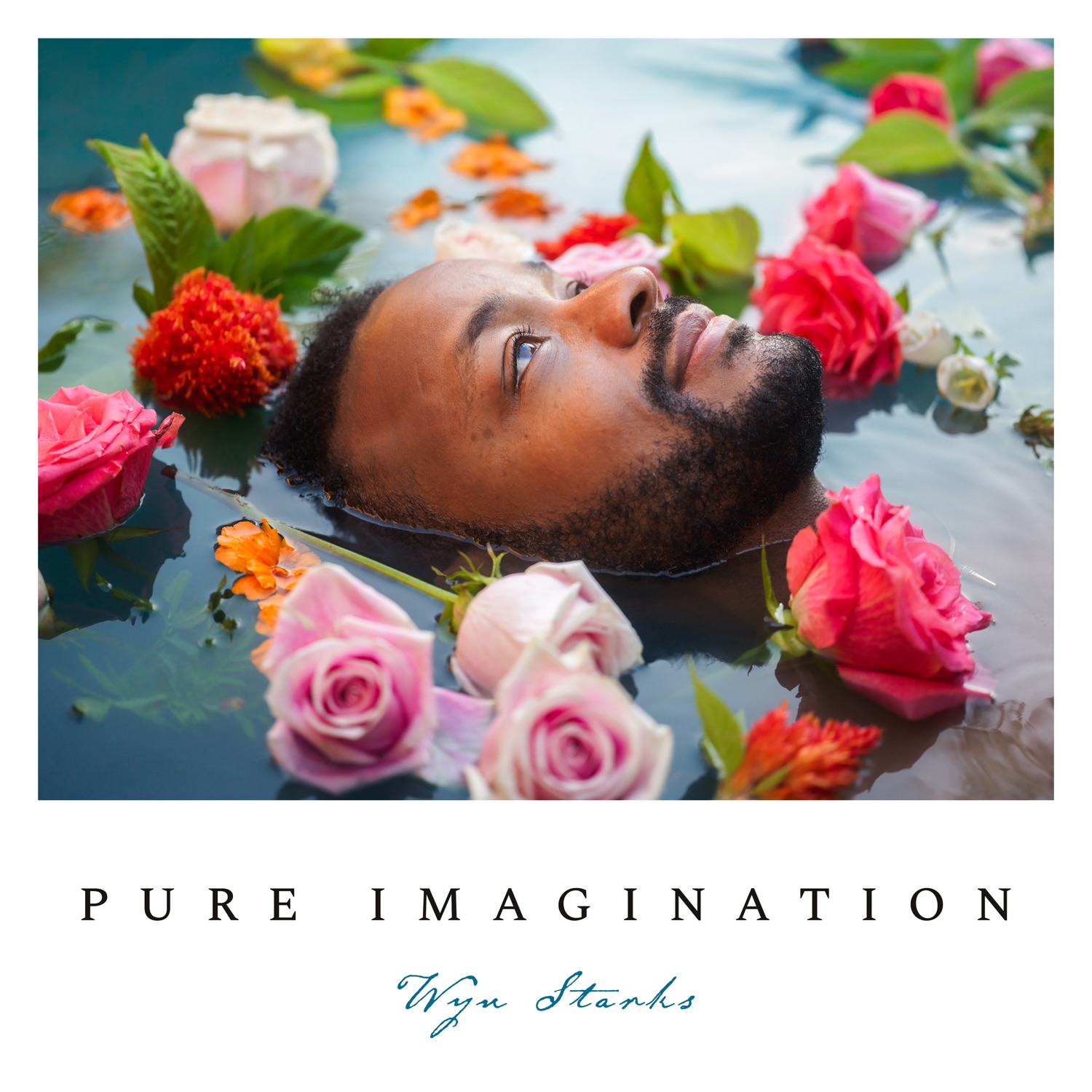 Pure Imagination - Single