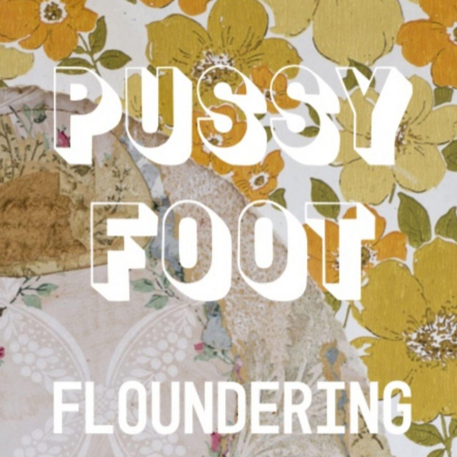 Pussy Foot