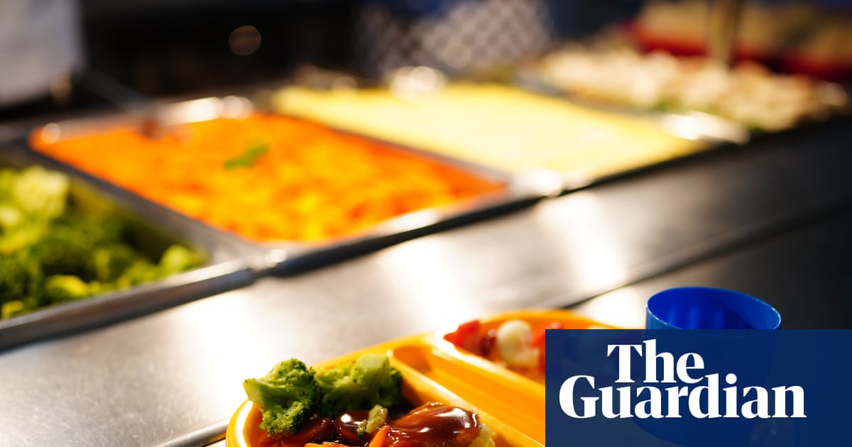 Plan for healthier school meals in England will hit services, say caterers