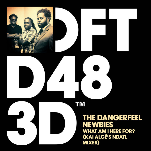 The DangerFeel Newbies