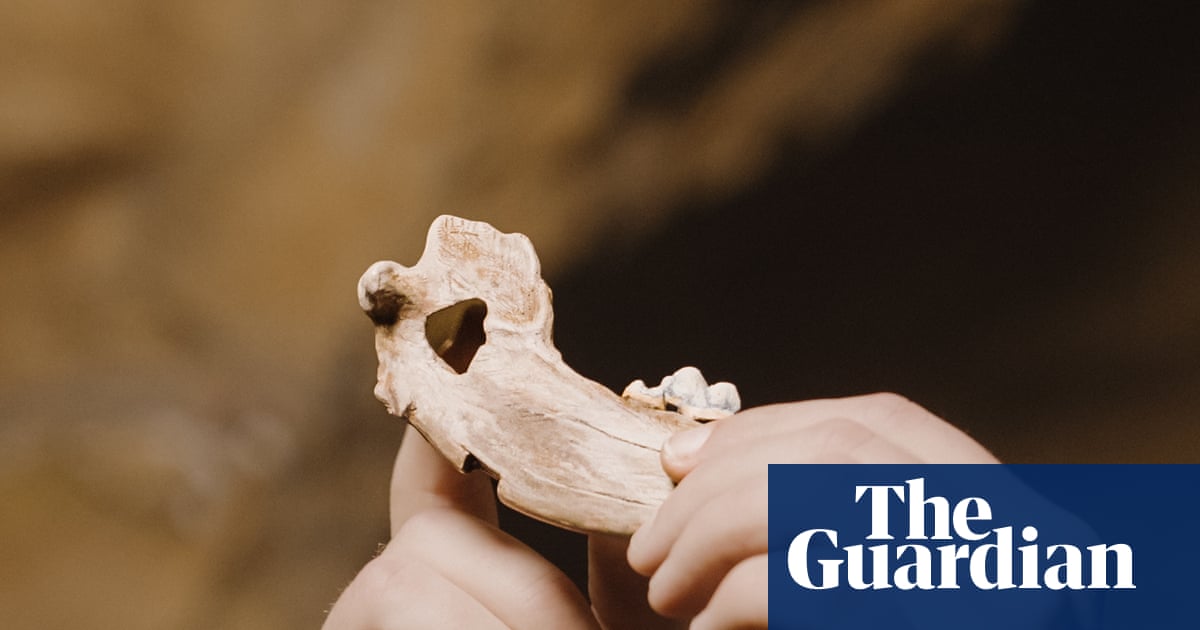 Bond between dogs and humans dates back more than 15,000 years, study finds