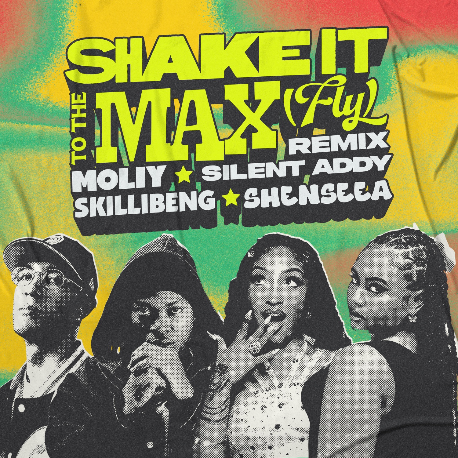 Shake It To The Max (FLY) [Remix] - Single