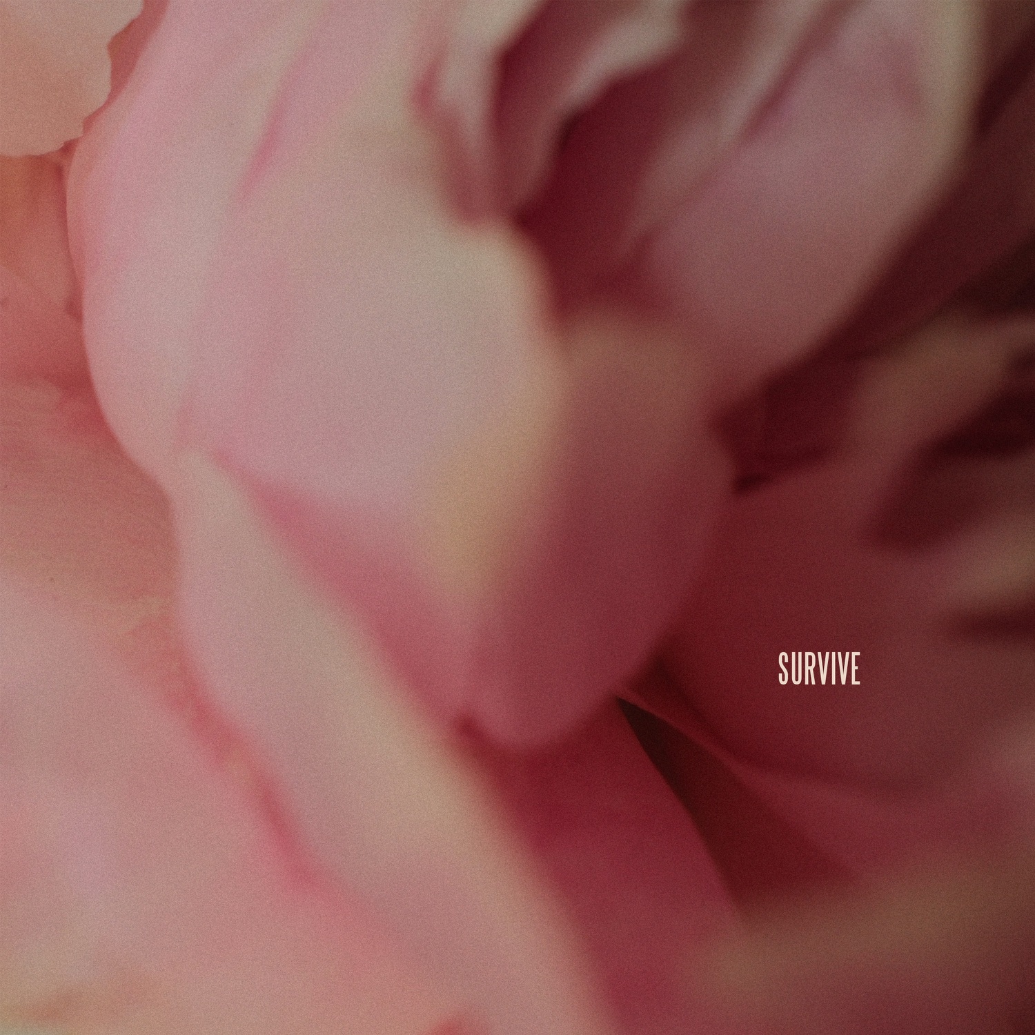 Survive - Single