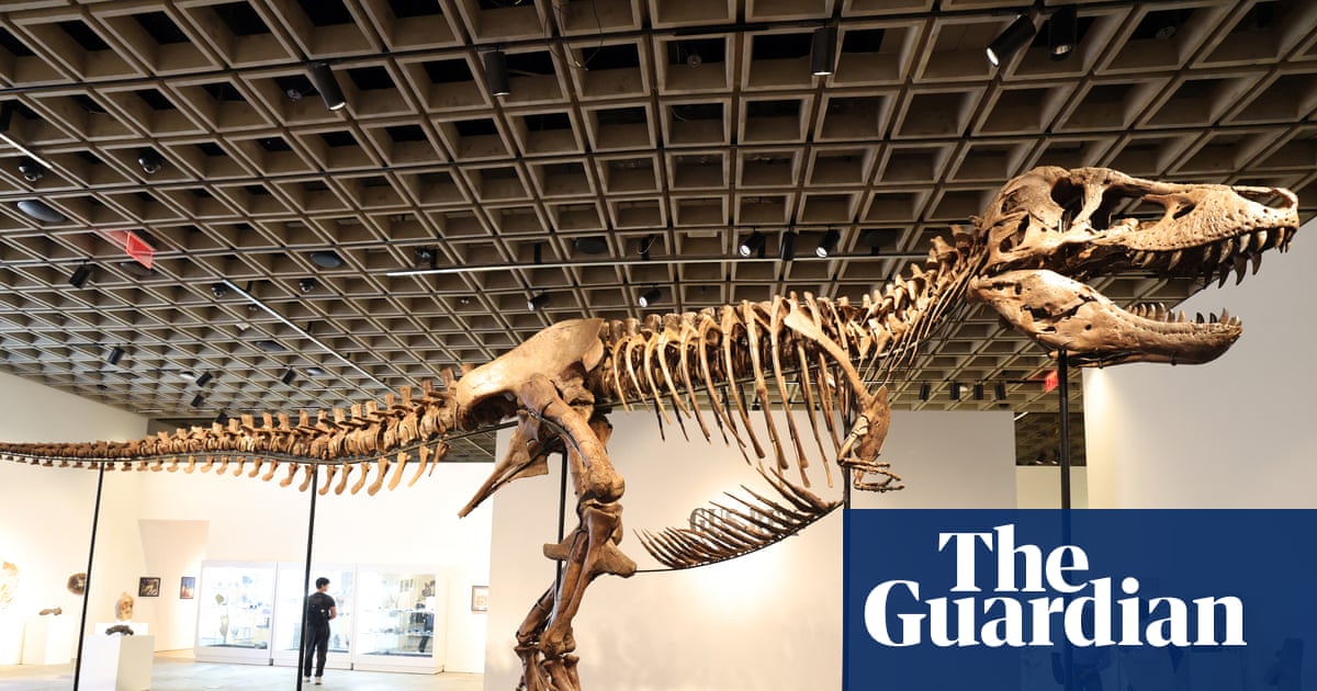The ultra rich are collecting fossils, and that’s bad for science – podcast