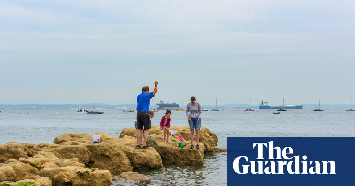 High levels of toxic ‘forever chemicals’ found off coast of southern England