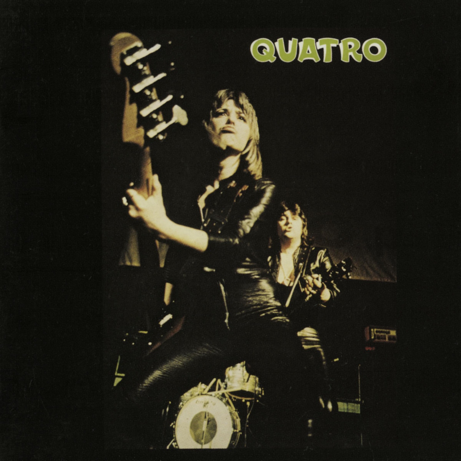 The Wild One