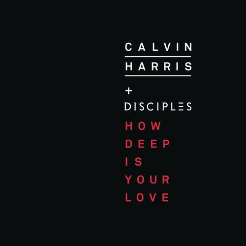 Calvin Harris And Disciples