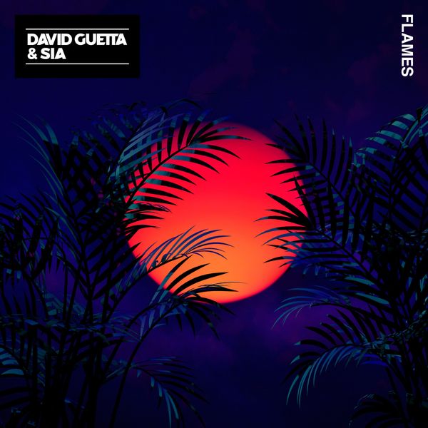 David Guetta And Sia