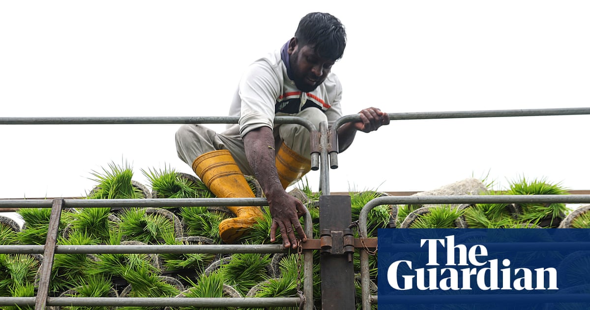 George Monbiot on our fragile food system – podcast