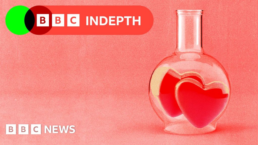 The science of soulmates: Is there someone out there exactly right for you?