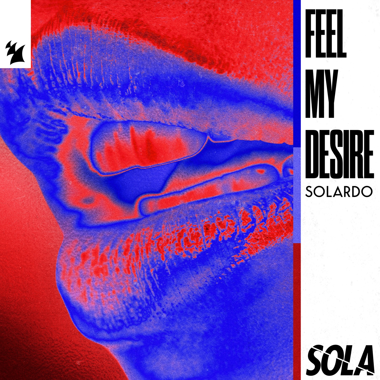 Feel My Desire