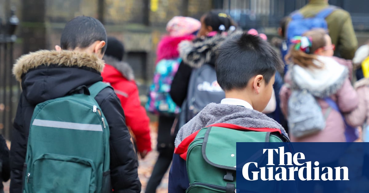 Gender guidance for English primary school pupils permits use of different pronouns