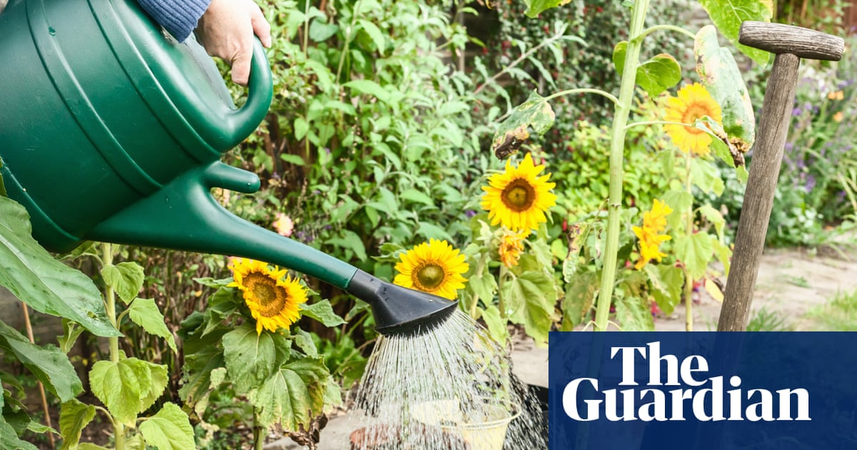 How can I water my garden in a hosepipe ban and will there be drought this summer?