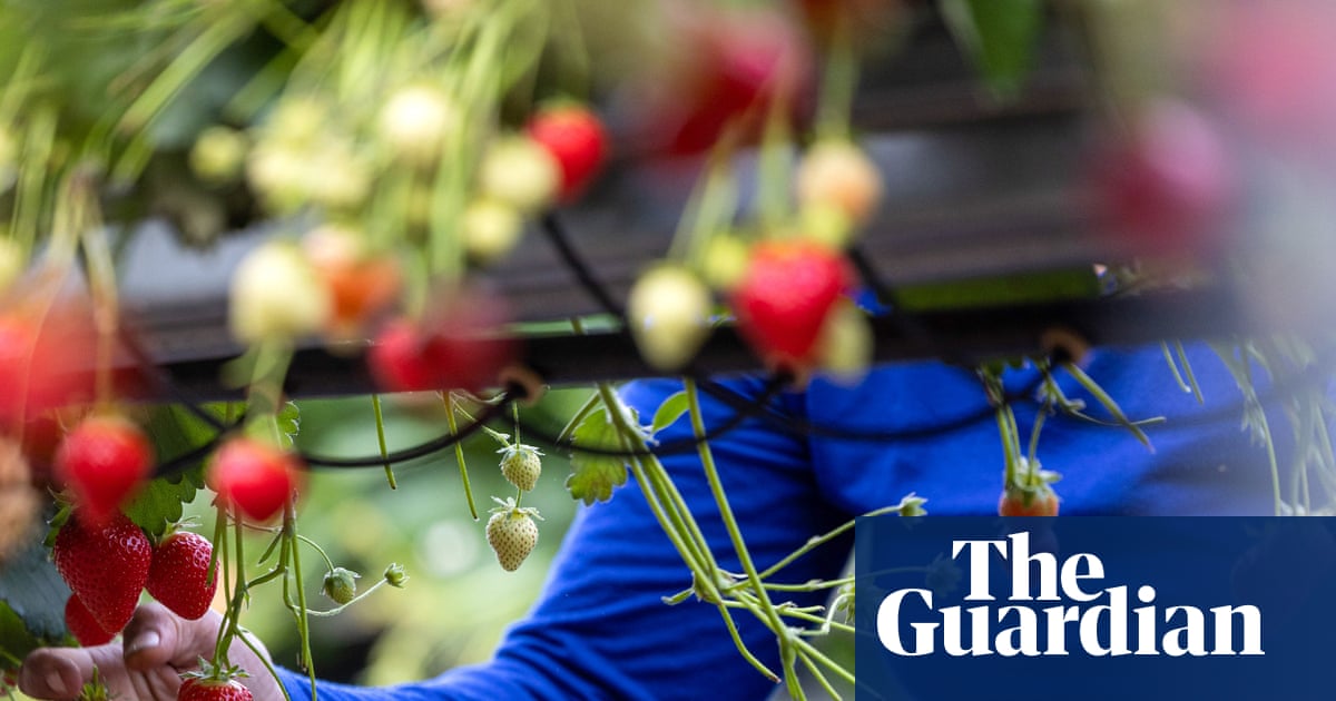 Sainsbury’s boss urges government to help ease rising energy costs for food producers