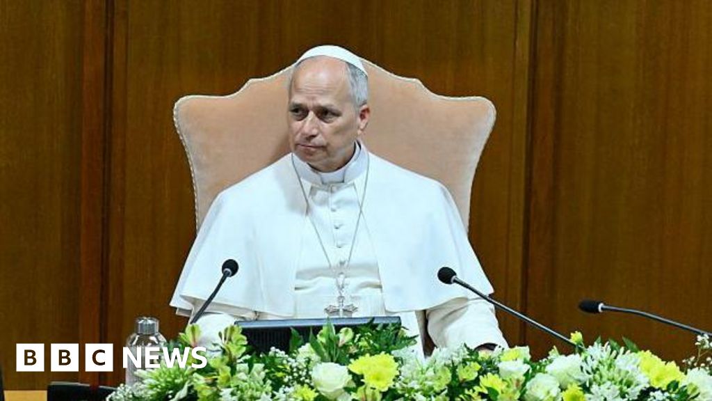 Pope Leo says AI must be 'disarmed' in first major teaching
