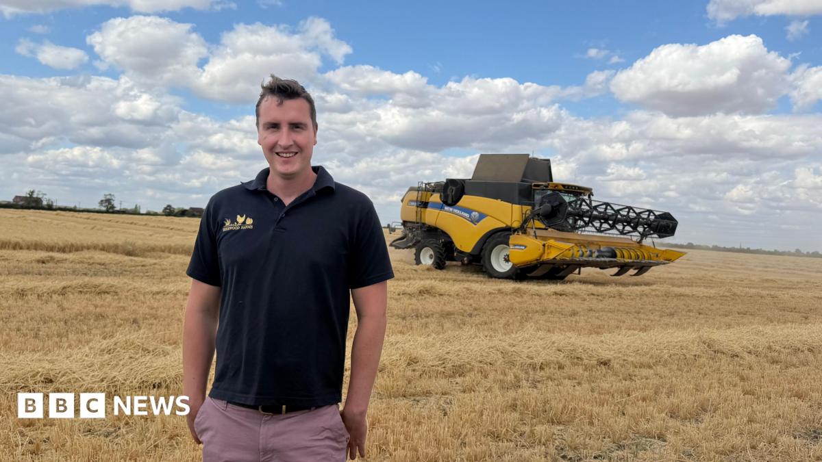 'There won't be any profit in this year's harvest'