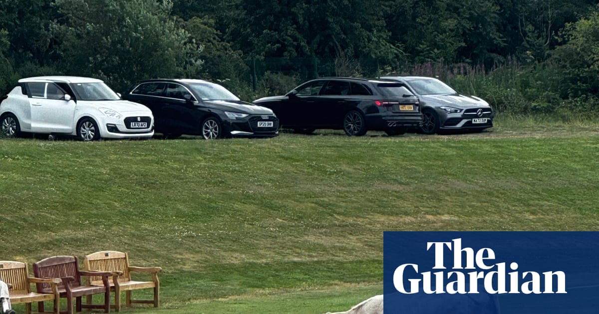 Cow corner: cricket match abandoned after runaway bull stops play