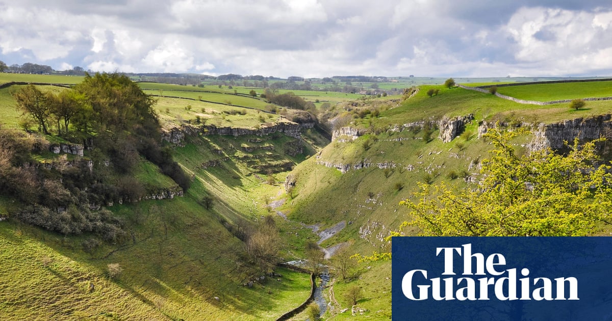 Plan to restore nature in England by 2030 criticised as ‘completely insufficient’