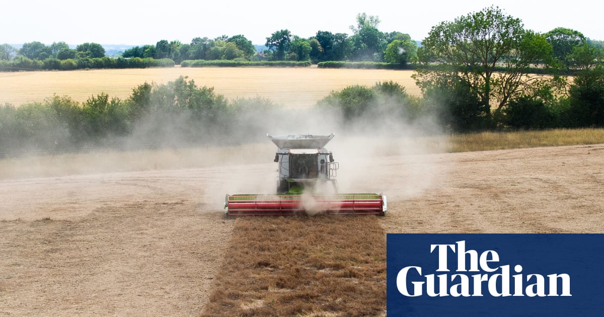 Tougher crops and beaver dams: how UK farmers are tackling drought