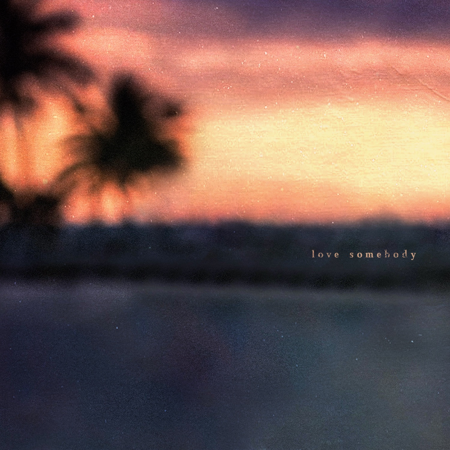 Love Somebody - Single