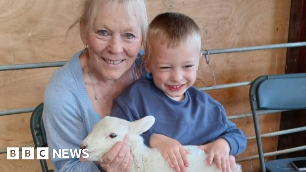 Families urged not to cuddle lambs after infection outbreak left dozens sick