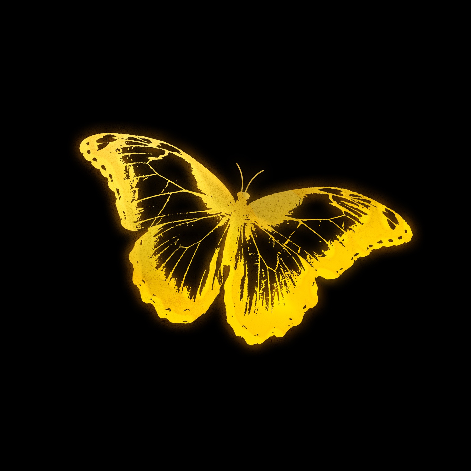 SHINE (golden hour sample) [feat. Lil Man J, Arden Jones & Micah Palace] - Single