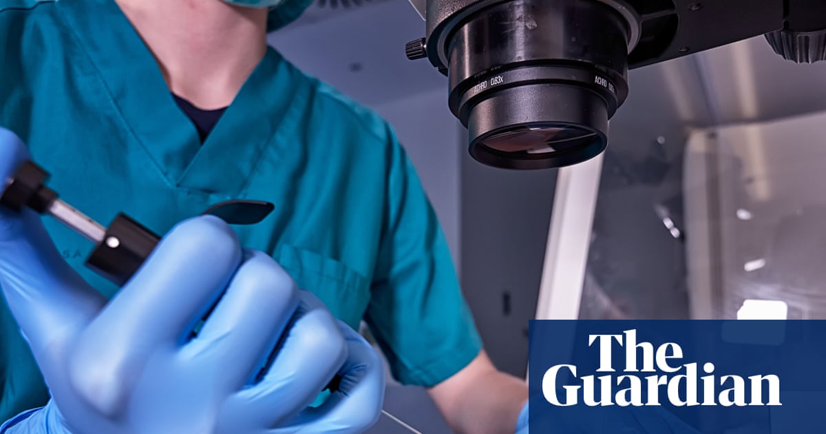 Most IVF ‘add-on’ treatments have no effect on fertility or remain unproven, study says