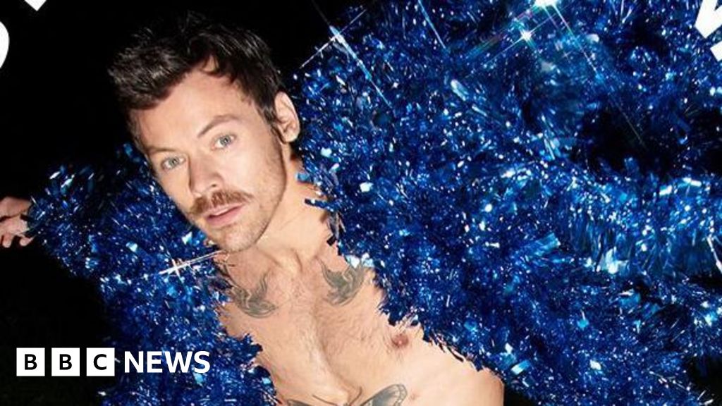Harry Styles concert to be streamed on Netflix