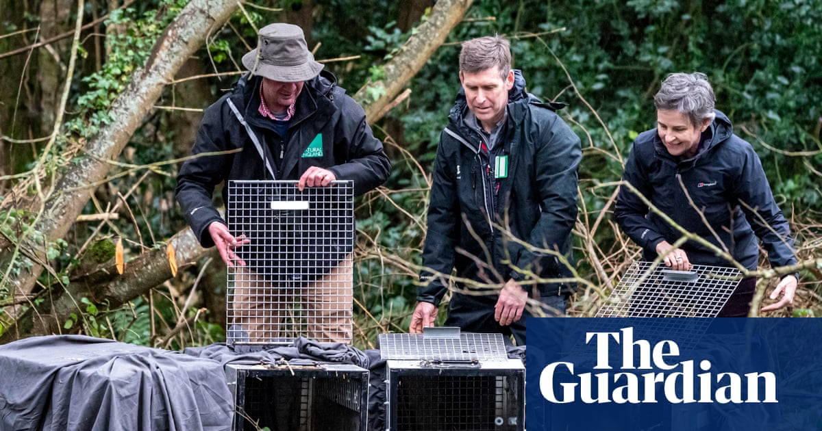 Lost species to be released as Labour seeks to stave off Greens’ election threat