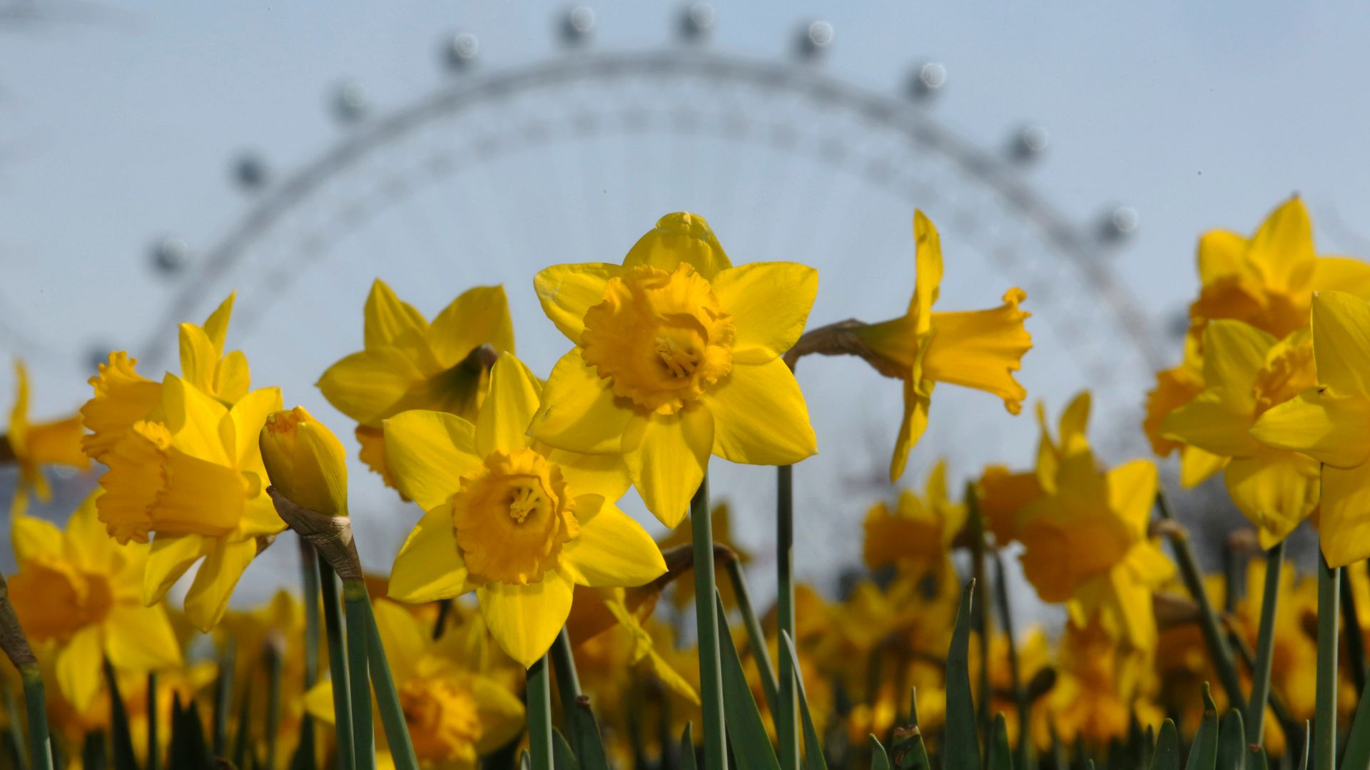 UK to be warmer than Malta and Barcelona