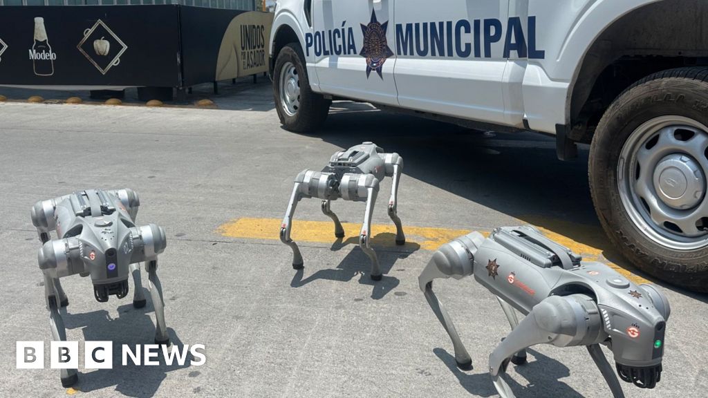 Robodogs and helicopters: One Mexican city's approach to World Cup security