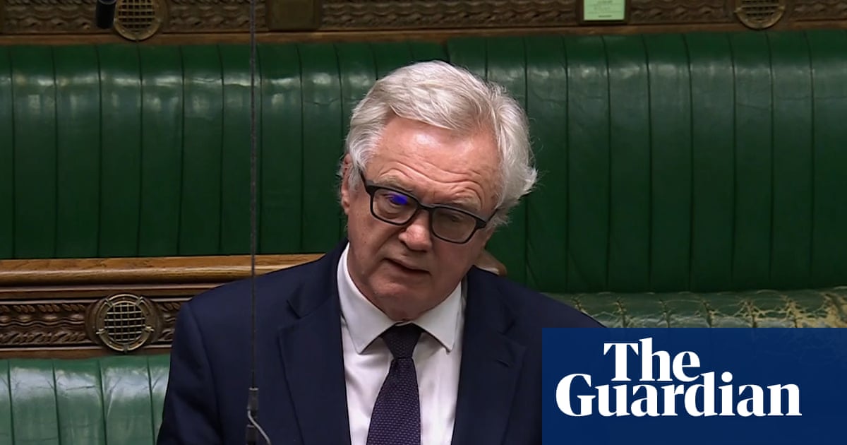 David Davis takes 'unusual step' of thanking Guardian for coverage of dual nationals – video
