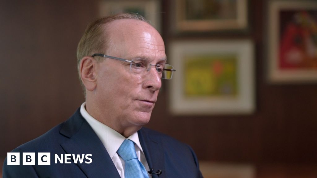 We need more plumbers and fewer lawyers in AI age, says BlackRock boss