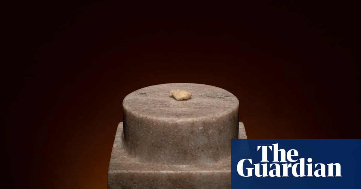 Behold! Nina Simone’s chewing gum! Inside the show celebrating extreme pop fandom