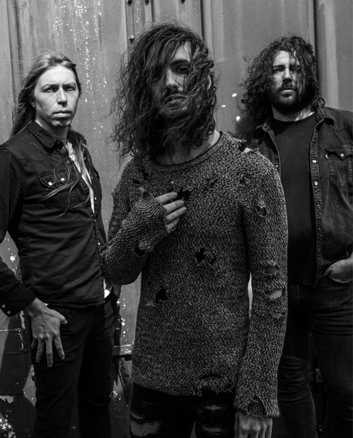 The Dead Collective