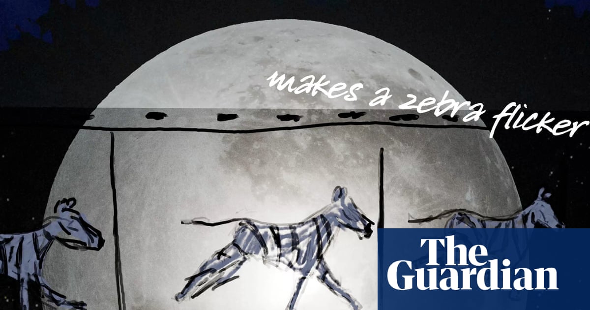 ‘The Moon and The Zoo’: Simon Armitage poem celebrates 200 years of ZSL