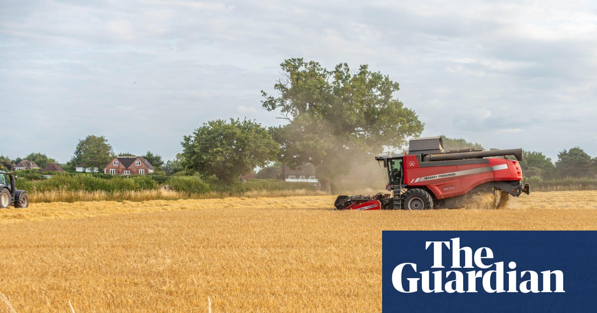 Food price fears after Europe’s heatwave destroys estimated €2bn of crops