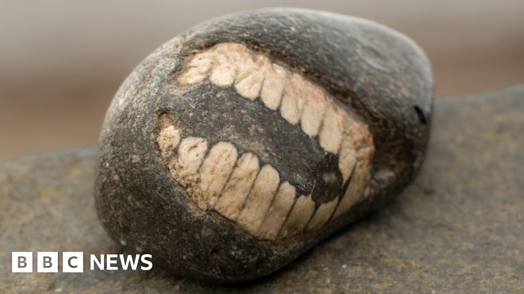 Weekly quiz: Why was the mysterious fossil 'smiling' at the beachcomber?