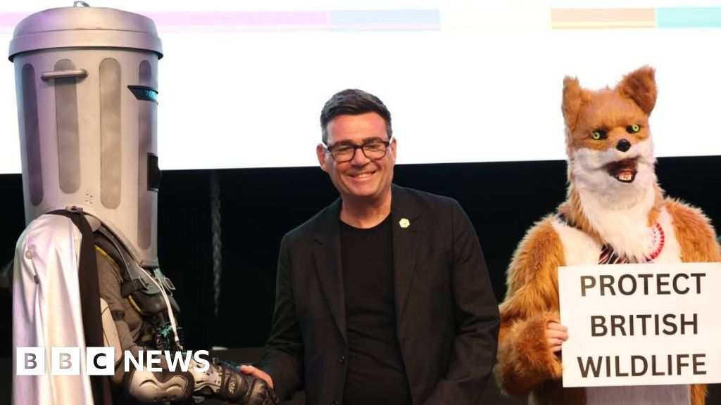 A fox, a gannet and an intergalactic space warrior - why UK election candidates dress up