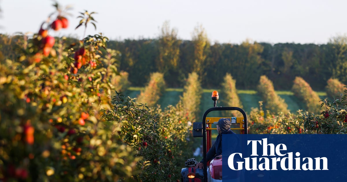 More farming co-operatives could ‘unleash growth’ in UK, finds report