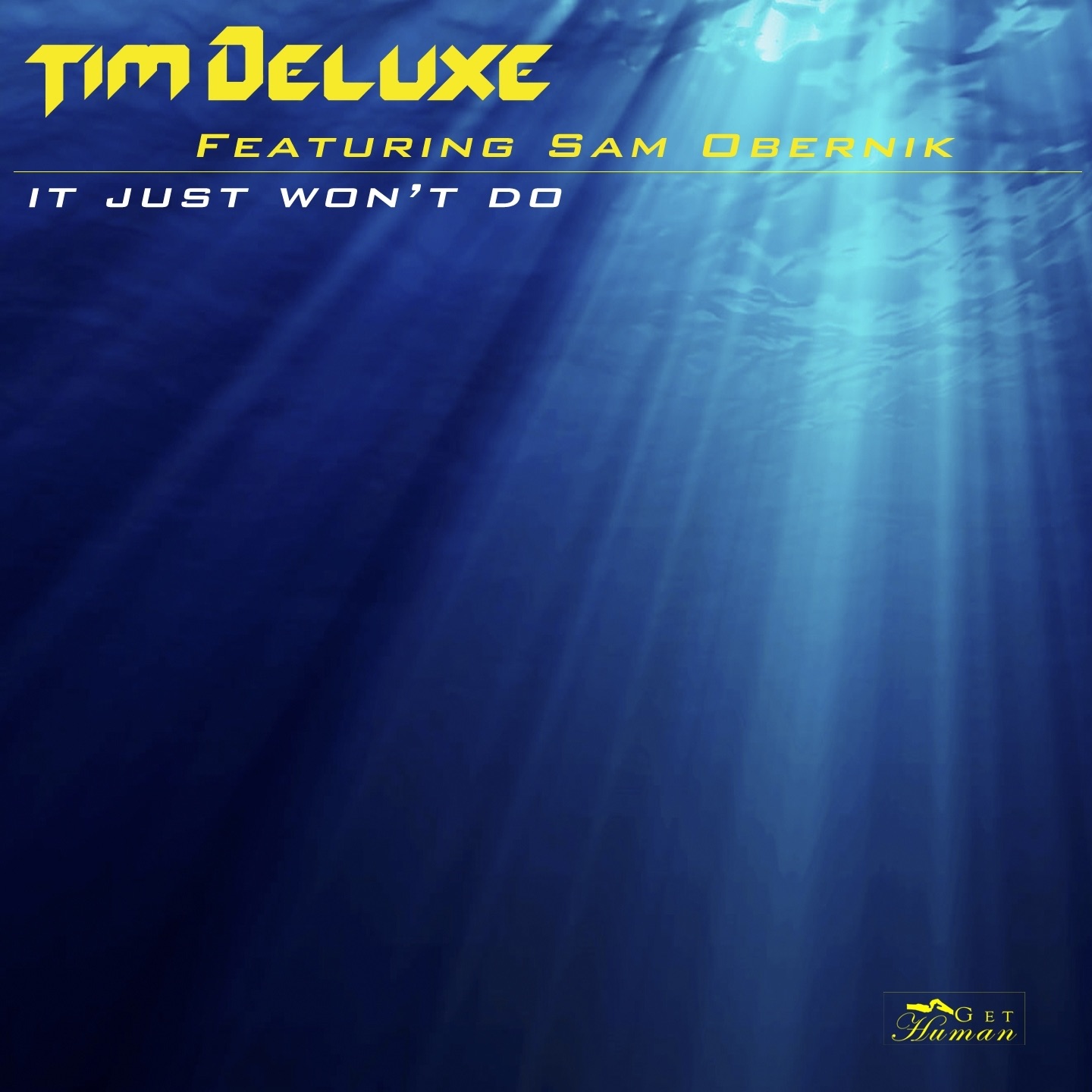 It Just Won't Do [Radio Edit]