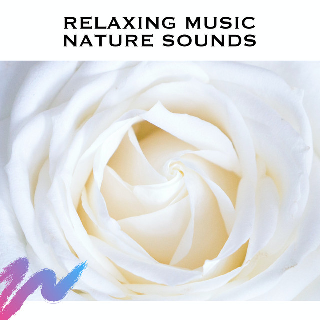 Water Meditation Music