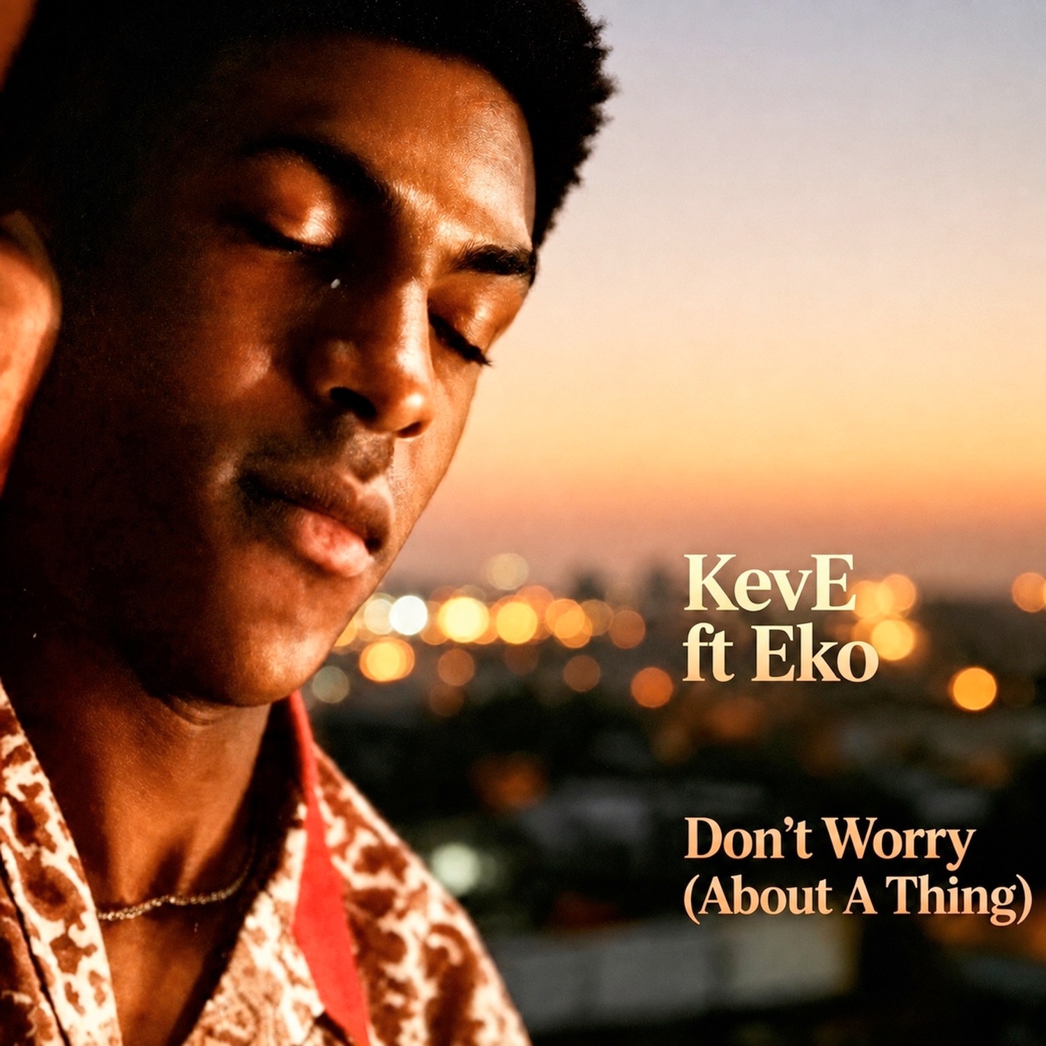 Don't Worry (About a Thing)