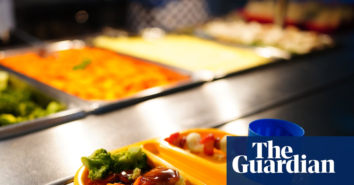 Pupils in England may reject new healthier school lunches, pilot suggests