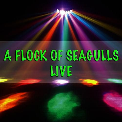 Flock Of Seagulls