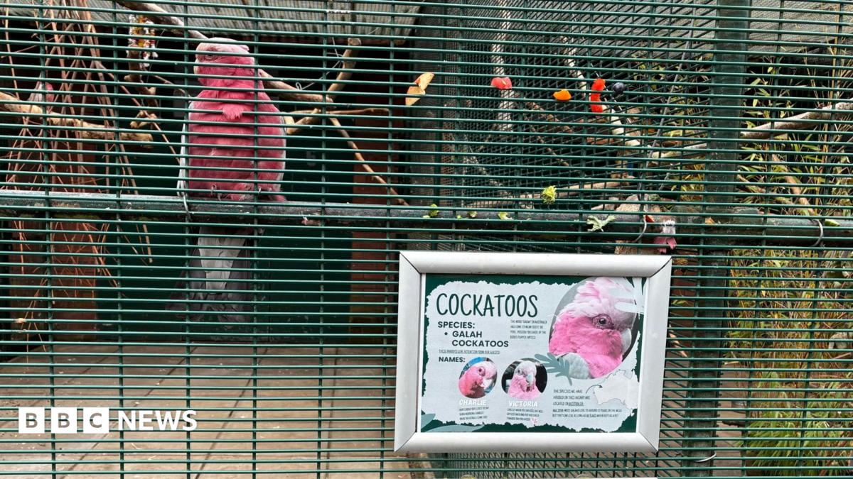 Keep aviary open to help mental health, MP says