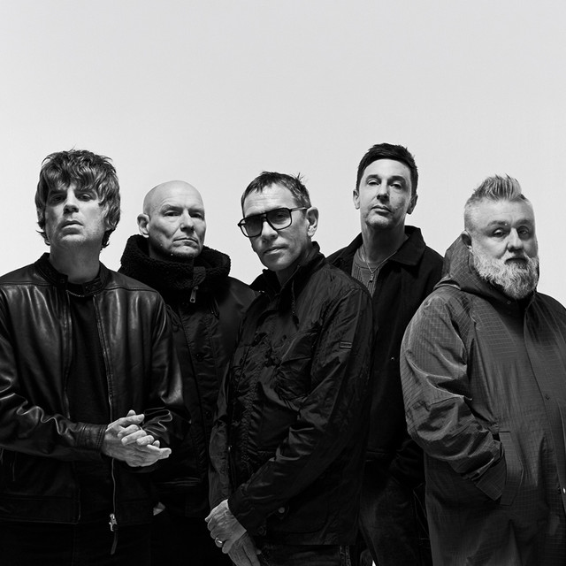 Shed Seven