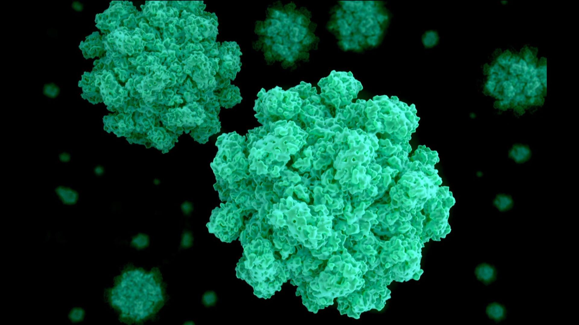 Warning of 'second surge' of norovirus as cases spike in England hospitals