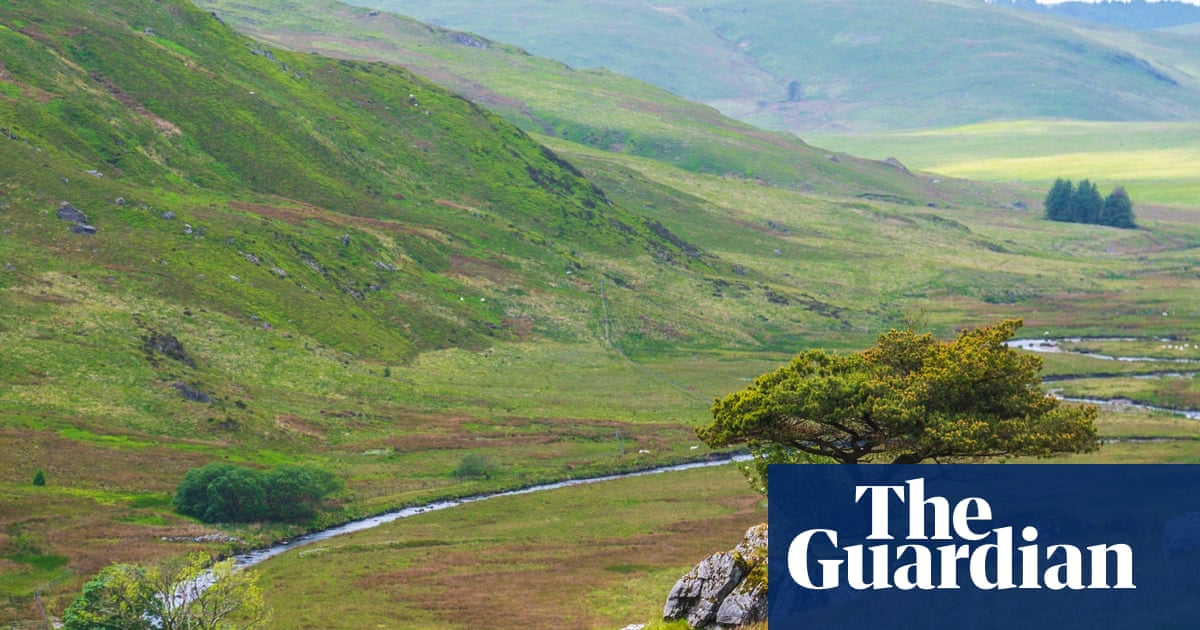 Charity buys £2.2m tract of land for Wales’ biggest rewilding project